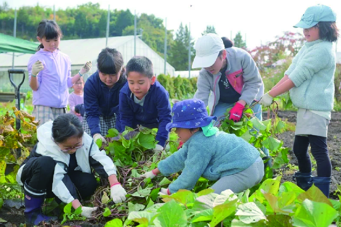 子どもの希望と意志を育むための居場所づくりと体験活動および地域活動支援事業